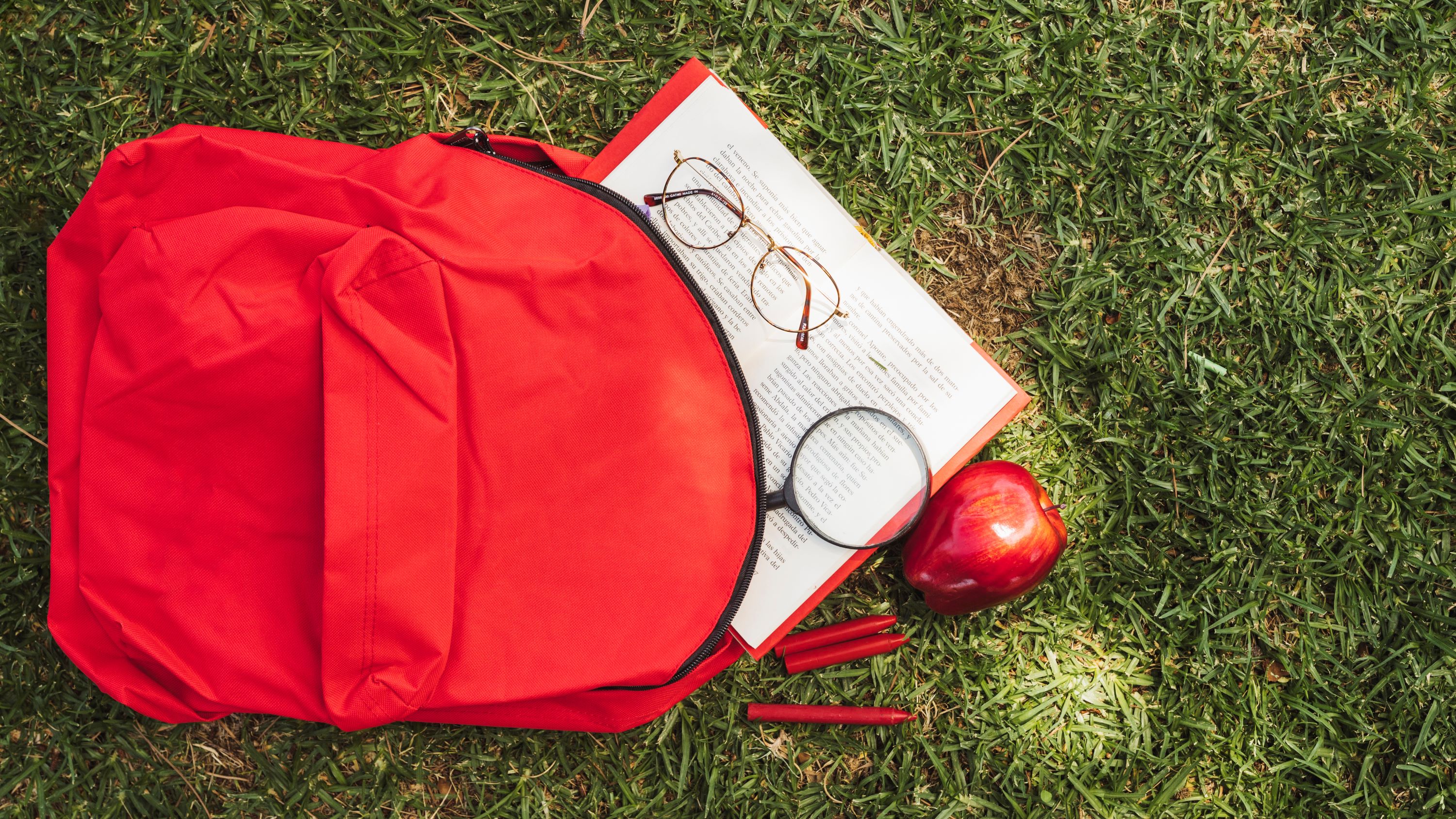 <a href="https://fr.freepik.com/photos-gratuite/sac-dos-livre-lunettes-herbe_4924123.htm#fromView=search&page=1&position=15&uuid=dc93e1cf-e7c3-4852-bcc0-4b51a370375f">Image de freepik</a>