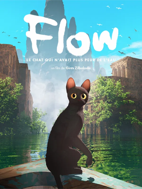 affiche_cinema_flow