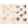 planch003.jpg