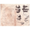 planch004.jpg