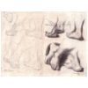 planch009.jpg