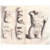 planch012.jpg