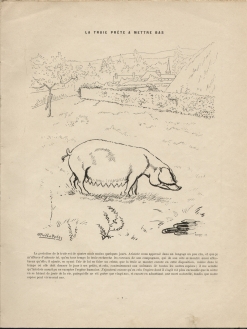 Alfred Le Petit : Le cochon (1898)