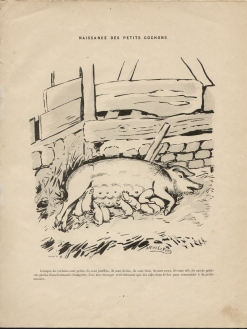Alfred Le Petit : Le cochon (1898)