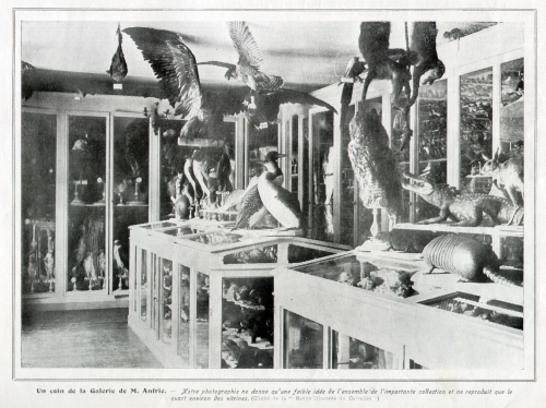 Un coin de la Galerie de M. Anfrie