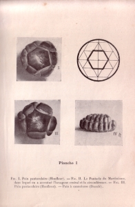 Le Pain brié (pl. I)