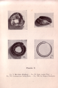 Le Pain brié (pl. II)
