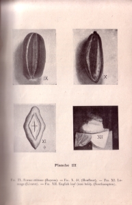 Le Pain brié (pl. III)
