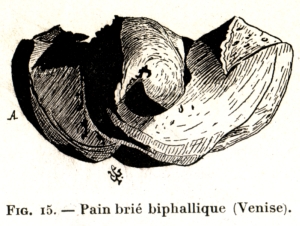 Fig. 15