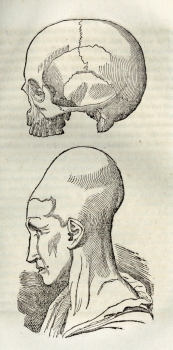 Education physique des enfants - Achille Foville - 1834 Education physique des enfants - Achille Foville - 1834