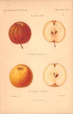 Atlas des meilleures variétés de fruits à cidre, par A. Truelle (1896).