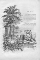 Le lion (9.831 Ko) Le lion (9.831 Ko)