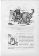 Le chat (8.469 Ko) Le chat (8.469 Ko)