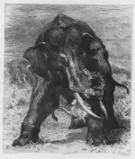 L'éléphant (9,81 Mo)