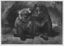 L'ours (9,79 Mo)