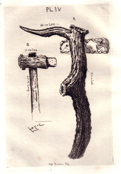 Planche 6