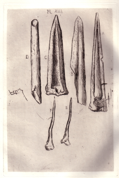 Planche 13