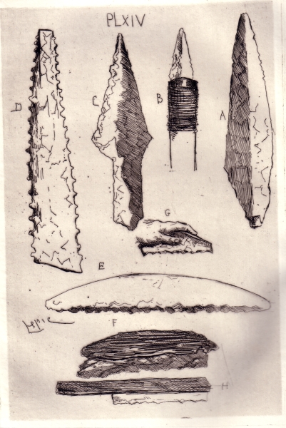Planche 14