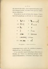 Hiéroglyphes