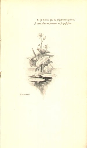 Si est lisvres que ne se peuvent ignorer, si tant plus ne peuvent ne se possesder (Marque de la Collection Nelumbo)