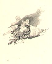 Cul-de-lampe, tiré d'Armande