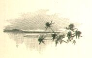 Cul-de-lampe, tiré de l'Arlésienne
