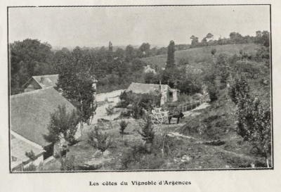 Les Côtes du vignoble d'Argences